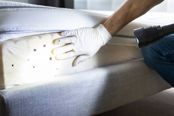 Best Pest Control for Restaurants  in England, AR