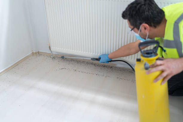 Best Residential Pest Control  in England, AR