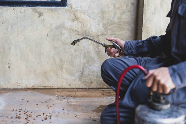 Best Affordable Pest Control Services  in England, AR