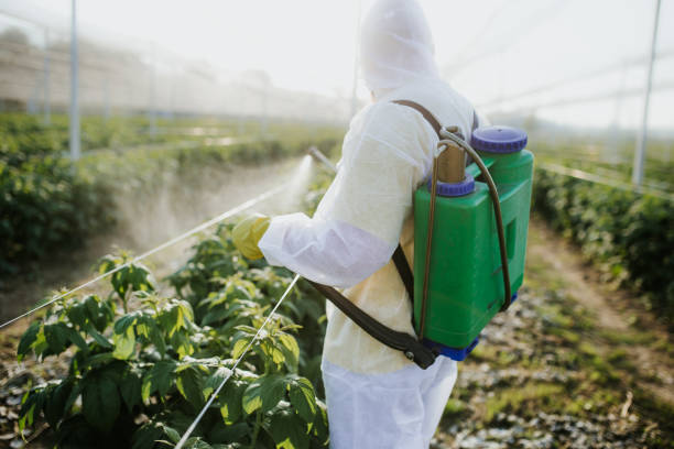Wildlife Control Services in England, AR